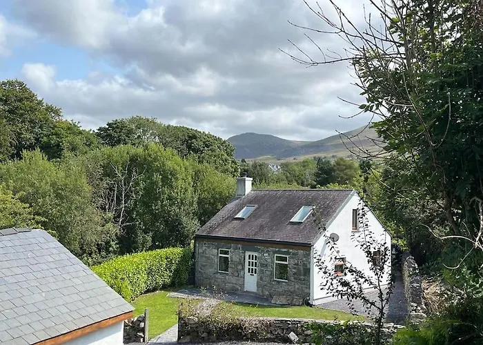 Bryn Rhedyn Cottage