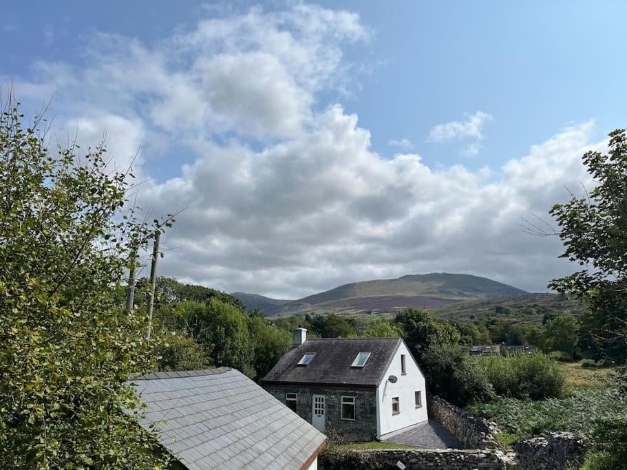 Bryn Rhedyn