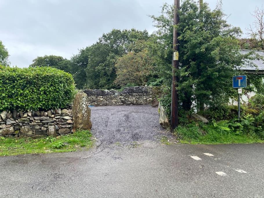 Bryn Rhedyn *