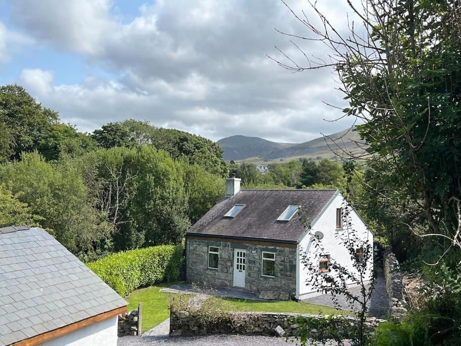 Bryn Rhedyn * Cwm-y-glo