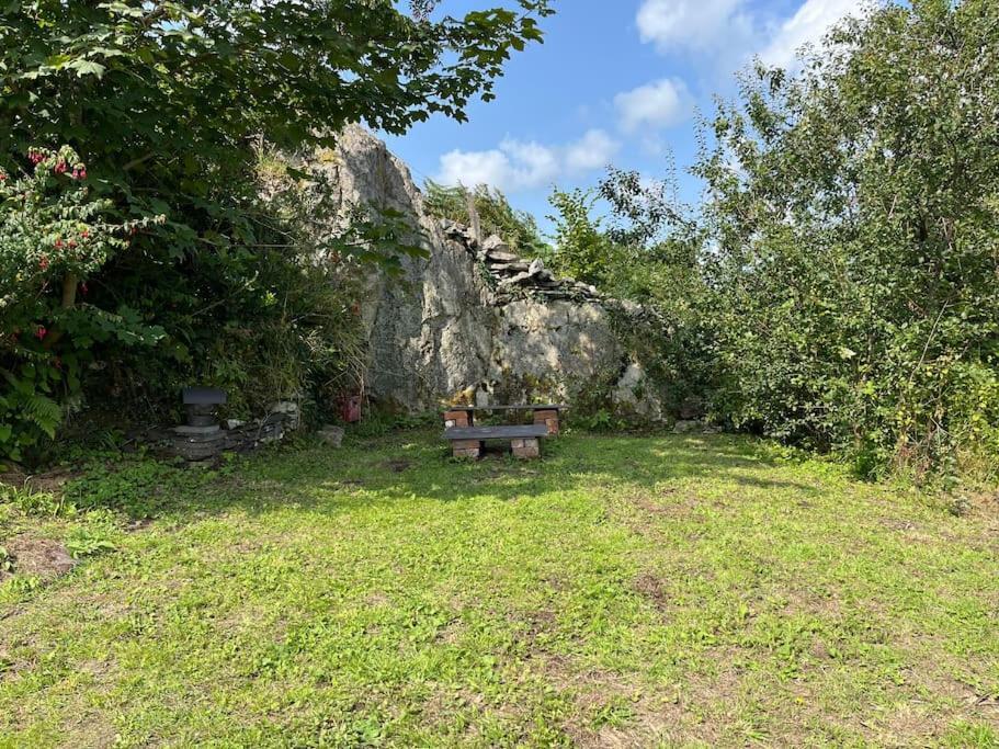 Bryn Rhedyn * Cwm-y-glo
